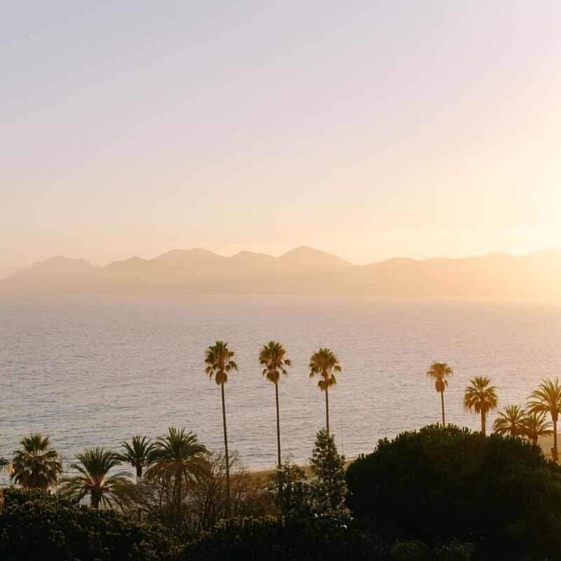 hotel belle plage cannes france