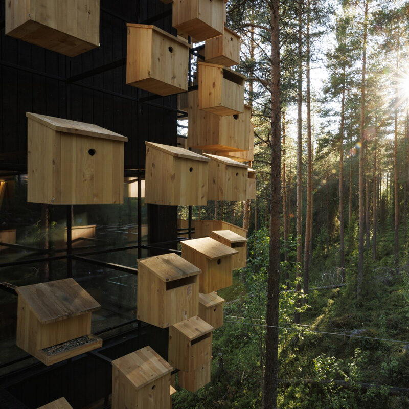 biosphere at treehotel sweeden