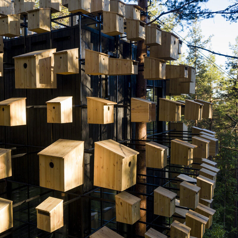 biosphere at treehotel sweeden