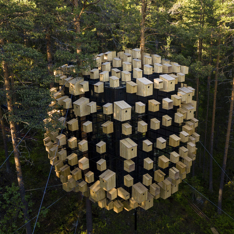 biosphere at treehotel sweeden