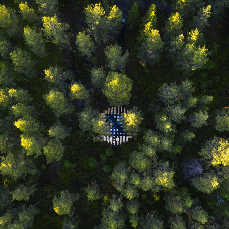 biosphere at treehotel sweeden