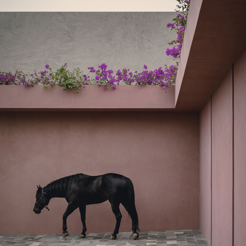 quinta amores hotel san miguel de allende estudio ipa