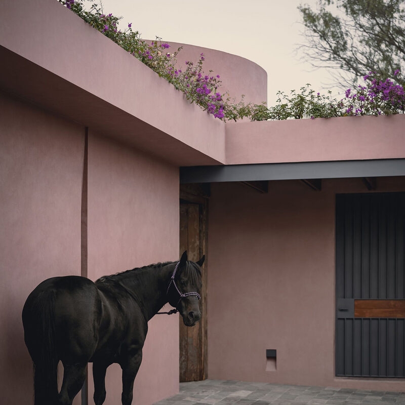 quinta amores hotel san miguel de allende estudio ipa