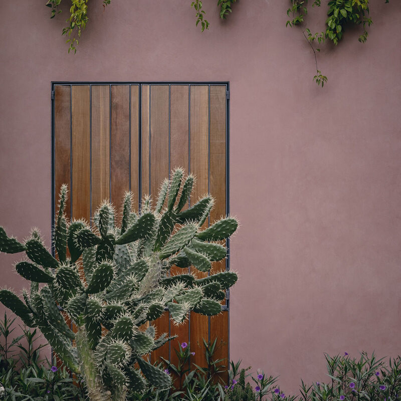 quinta amores hotel san miguel de allende estudio ipa