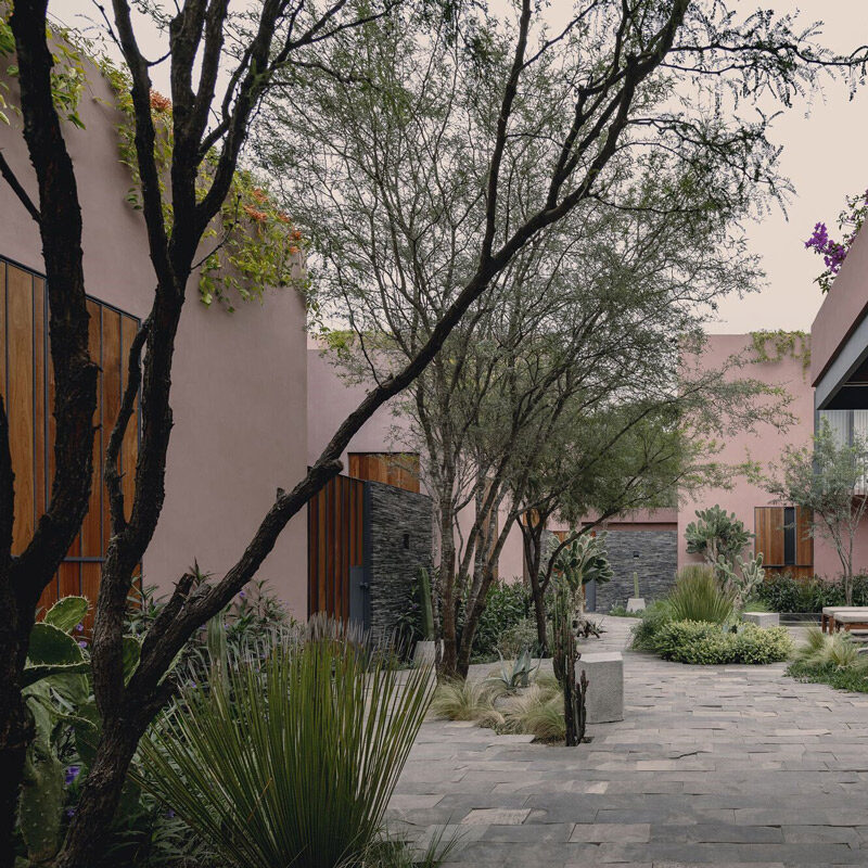 quinta amores hotel san miguel de allende estudio ipa