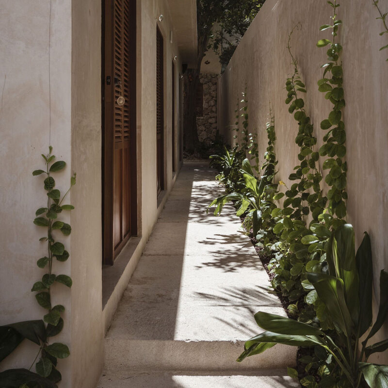 refugio bajo las hojas hotel campeche mexico punto arquitectonico