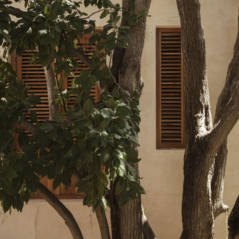 refugio bajo las hojas hotel campeche mexico punto arquitectonico