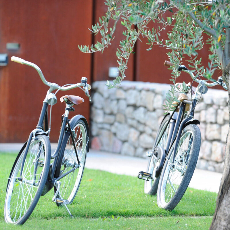 Vivere Suites & Rooms Arco Italy