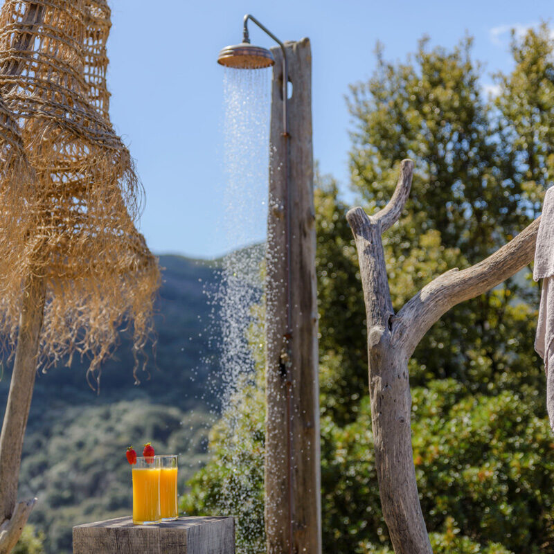 terre de maquis maison hotes corse