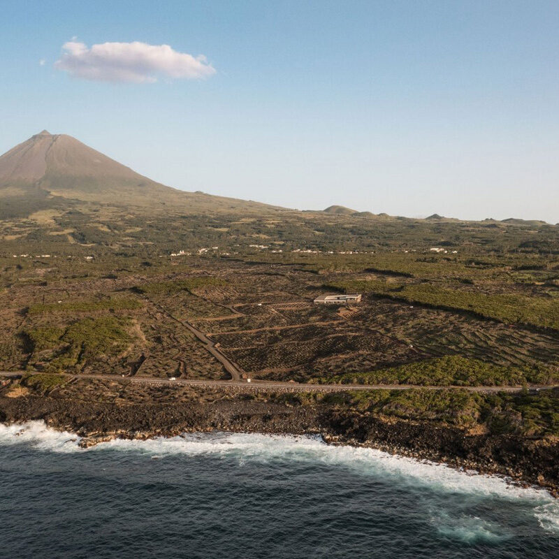 Azores Wine Company