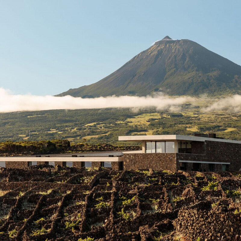 Azores Wine Company