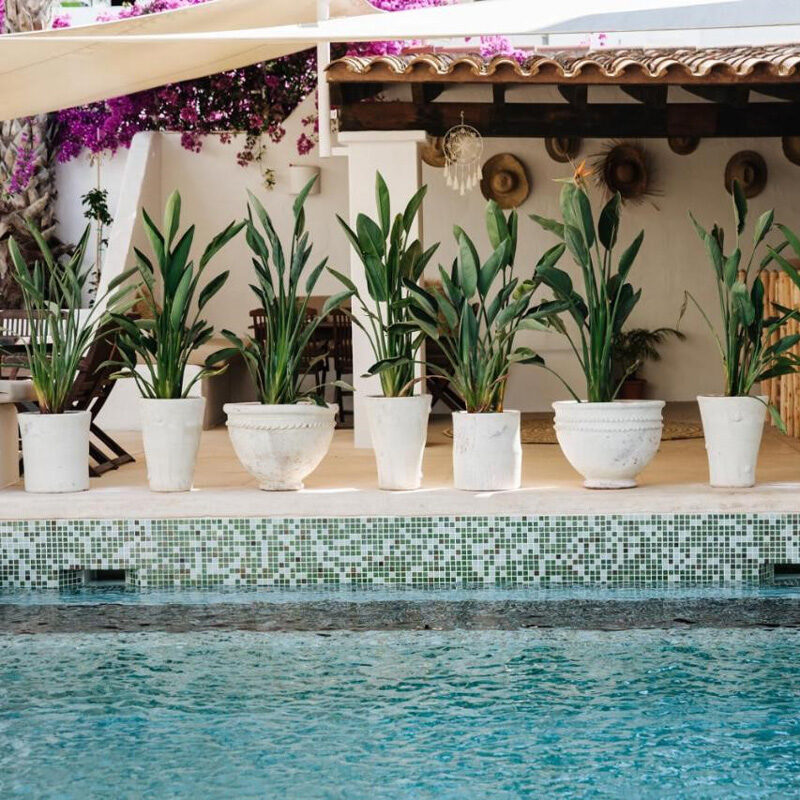 La Bohemia del Rio Hostal Boutique ibiza