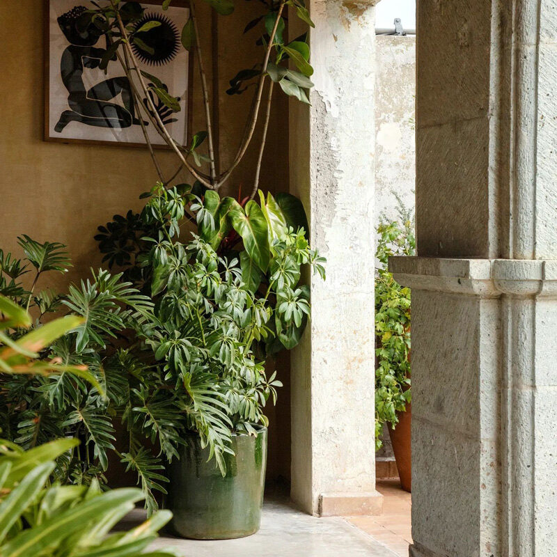 Casa Antonieta