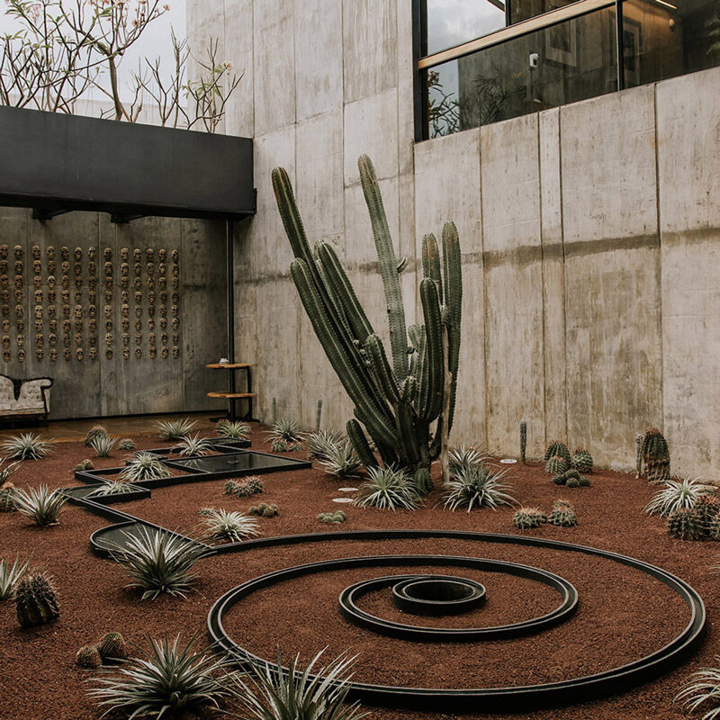 Flavia Hotel Oaxaca RootStudio