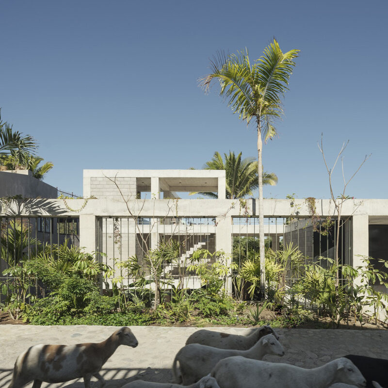 Nico Sayulita Hotel Hybrid Palma