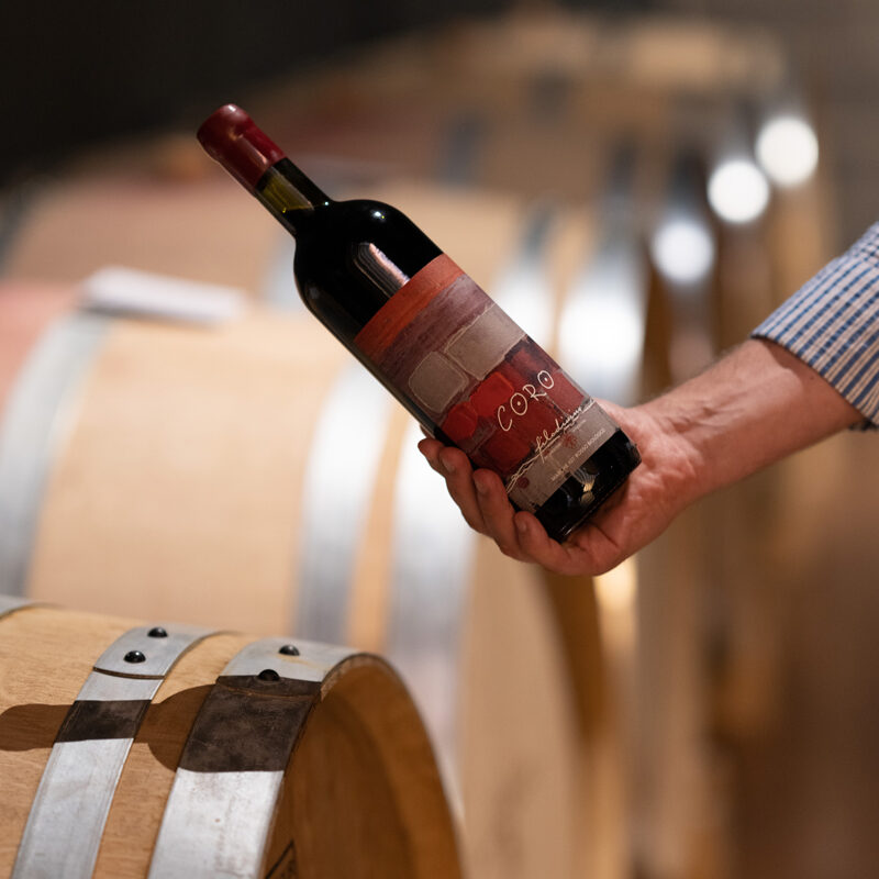 Filodivino Wine Resort & SPA