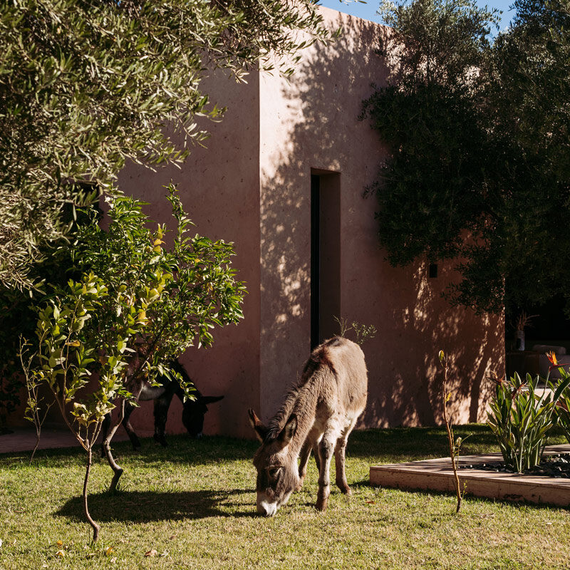 Jardin Sakina Marrakech