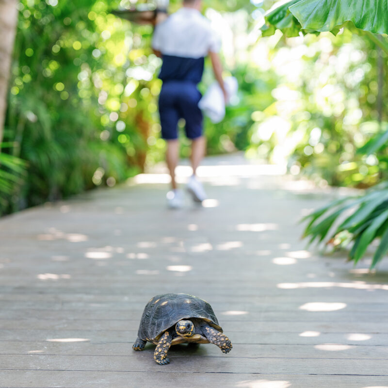 Cheval Blanc St-Barth